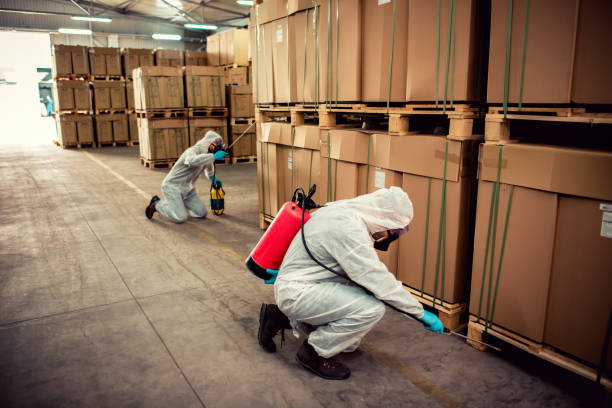 Best Termite Control Services  in Lexington Park, MD