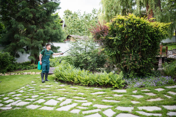 Best Exterminator Services  in Lexington Park, MD