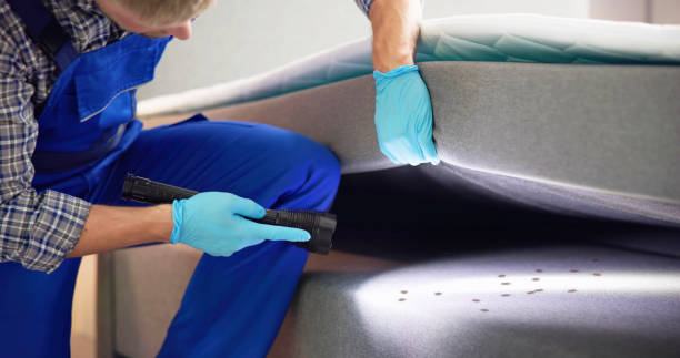 Best Local Pest Control Services  in Lexington Park, MD